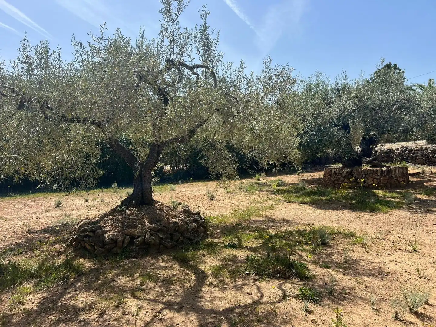 Finca rústica en venda en L'Ampolla amb Aire condicionat, Jardí privat i Terrassa