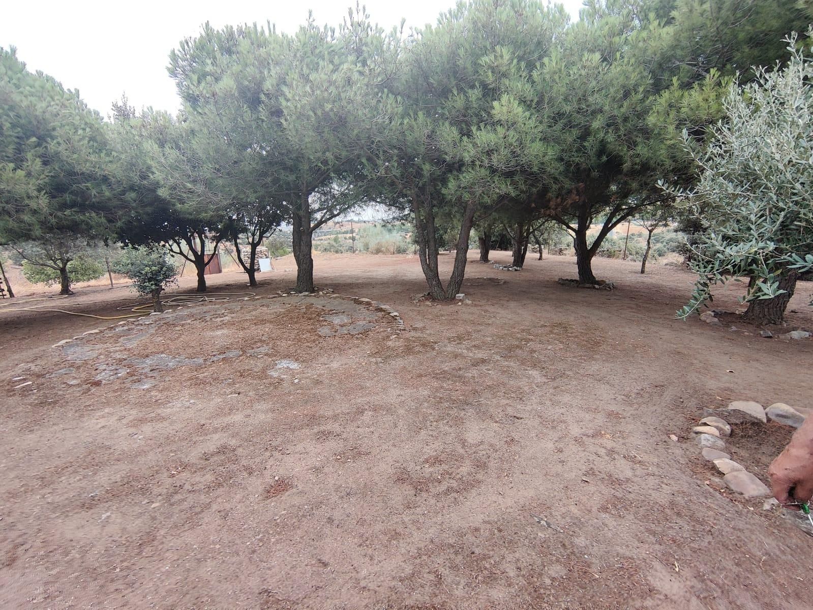 House or chalet for sale in El Vellón  with Private garden and Storage room