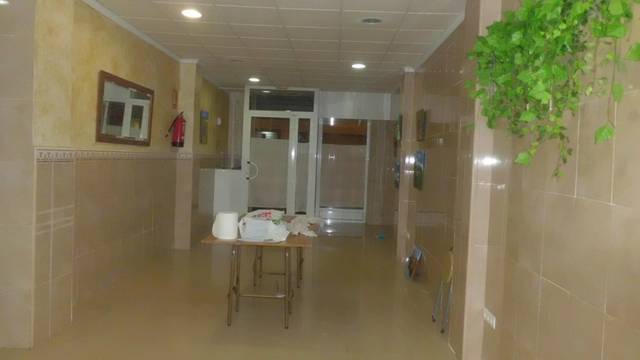 Local comercial en Venta en Altabix