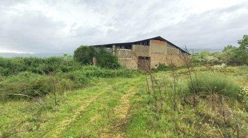 Terreno Rústico en Cuacos de Yuste - Oportunidad Única en la Comarca de la Vera, immagine 4