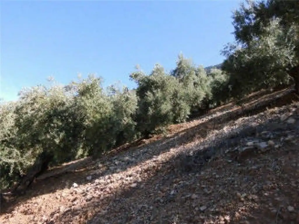 Terreno en venta en Sorihuela del Guadalimar