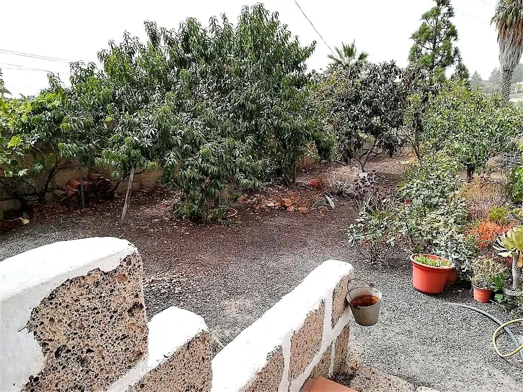 Finca rústica en venta en Granadilla de Abona