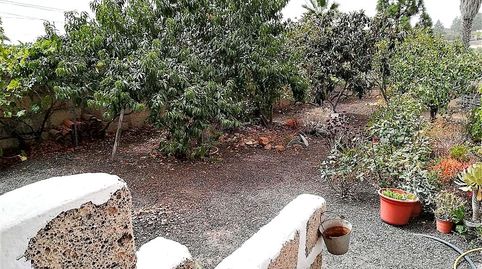 Foto 3 de Finca rústica en venda a Calle Canales Altas, Cruz de Tea, Granadilla de Abona