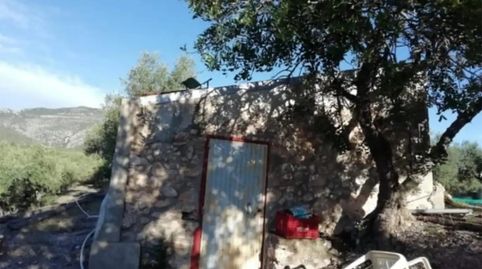 Foto 3 de Finca rústica en venda a Carrer Dels Reguers, 16, Jesús - Els Reguers, Tortosa