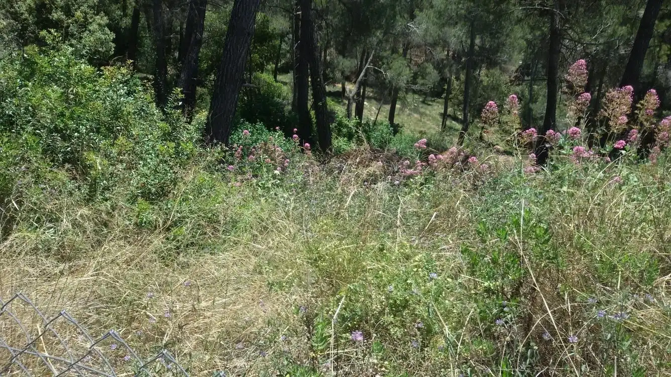 Terreno residencial en venta en Airesol, imagen 5