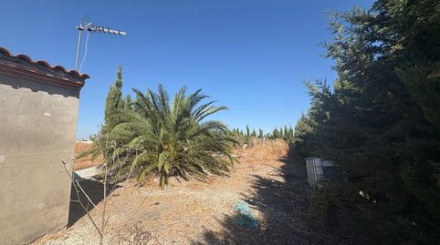 EXCLUSIVIDAD....!!! 1546- SE VENDE PARCELA CARRETERA CAÑADA- CAMPILLOS....!!!, imatge 3