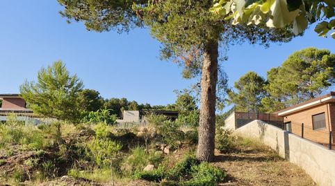BEGUES BARCELONETA, imagen 2