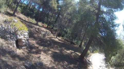 Terreno en venta para construir, immagine 4
