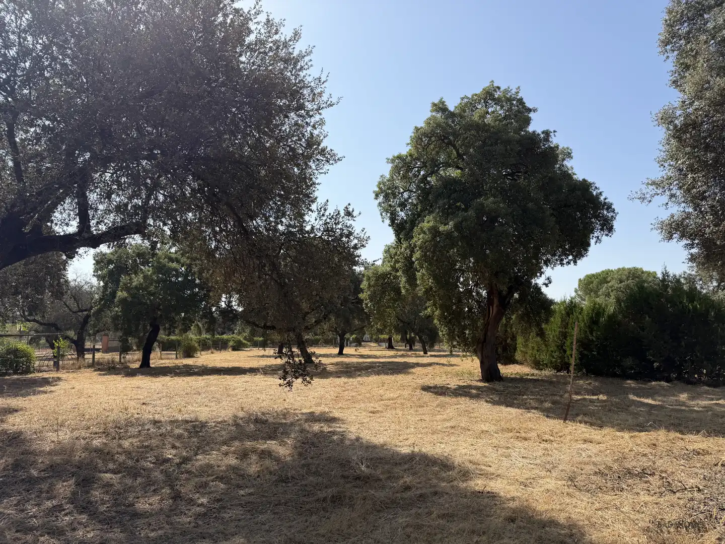 Finca rústica en venda en Badajoz amb Jardí privat, Terrassa i Traster