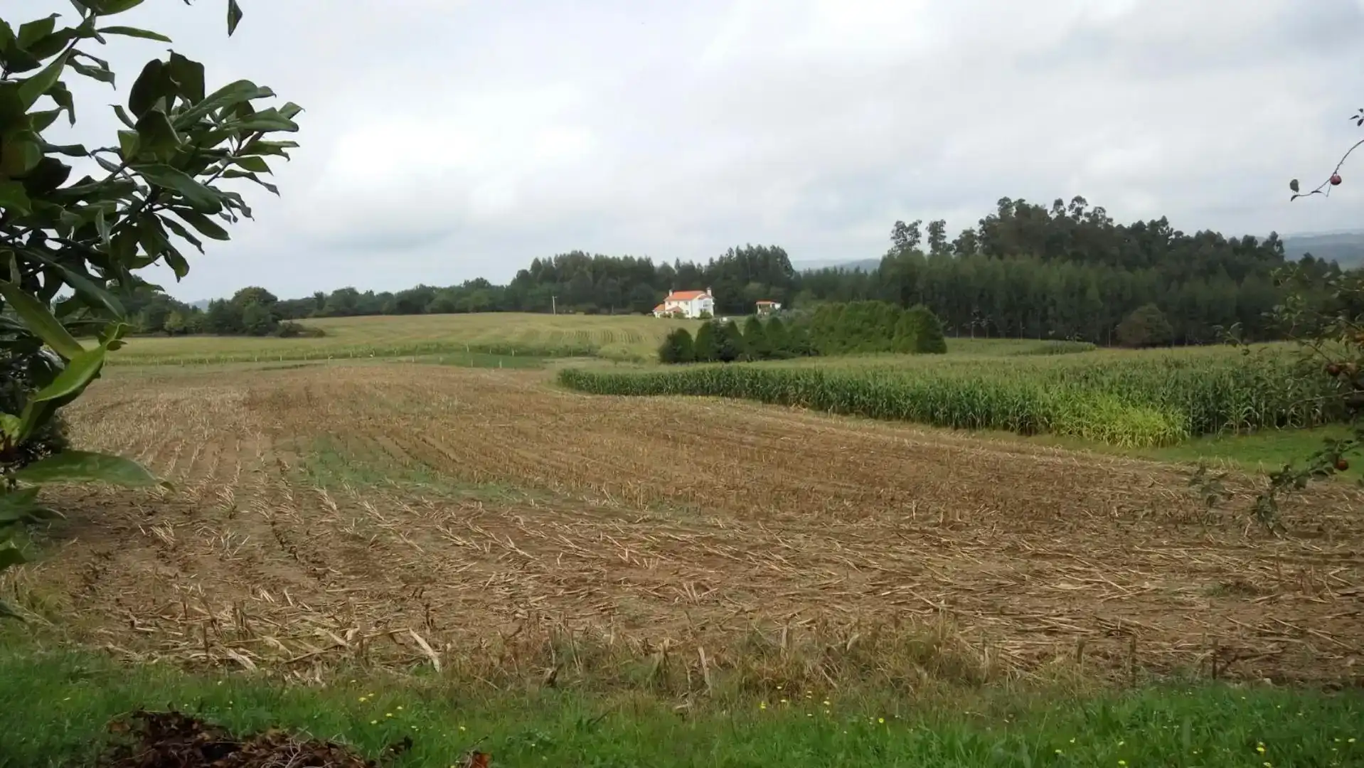 Finca rústica en venda en Irixoa