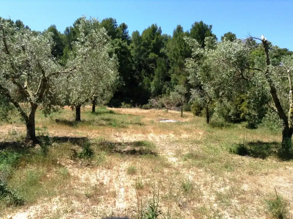 Terreni e lotti in vendita a Arens de Lledó, imagen 2