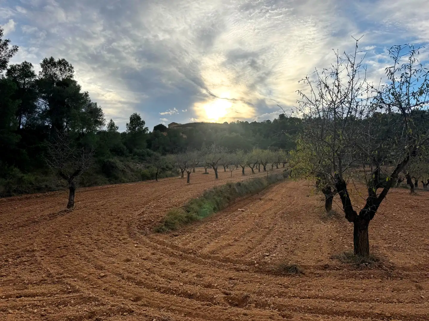 Terreni e lotti in vendita a Alcañiz