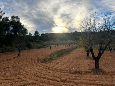 Terreno rustico in vendita a Alcañiz