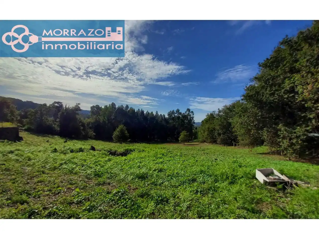 Terreno rustico in vendita a Bueu, imagen 12