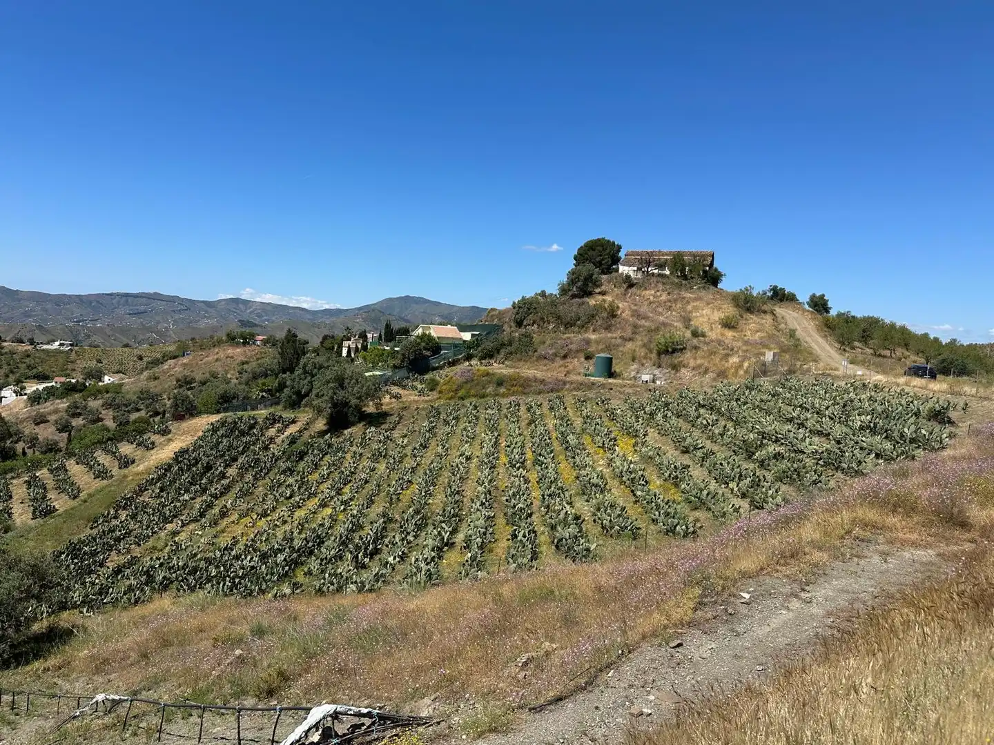 Terreni e lotti in vendita a Vélez-Málaga ciudad, imagen 12