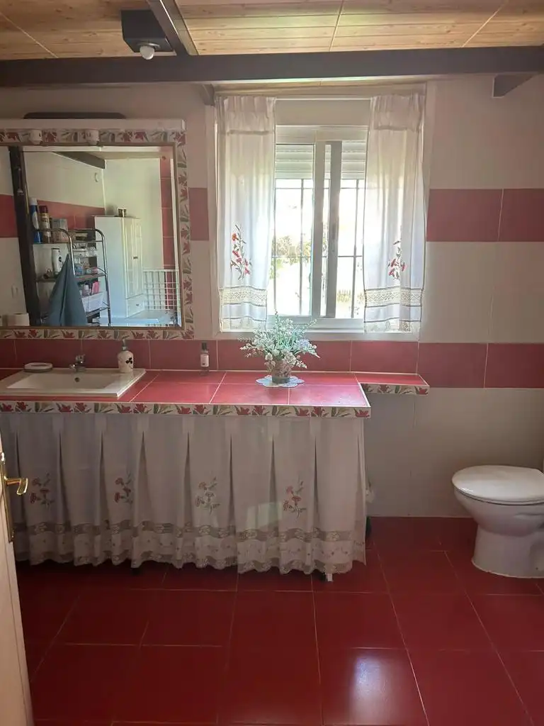 Bathroom of Houses for sale in Logrosán  with Private garden, Terrace and Swimming Pool