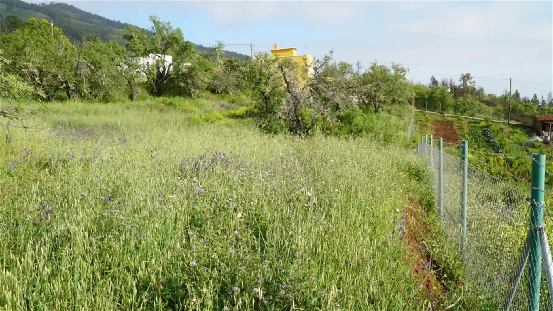 Residencial en venta en Tijarafe, Santa Cruz de Tenerife