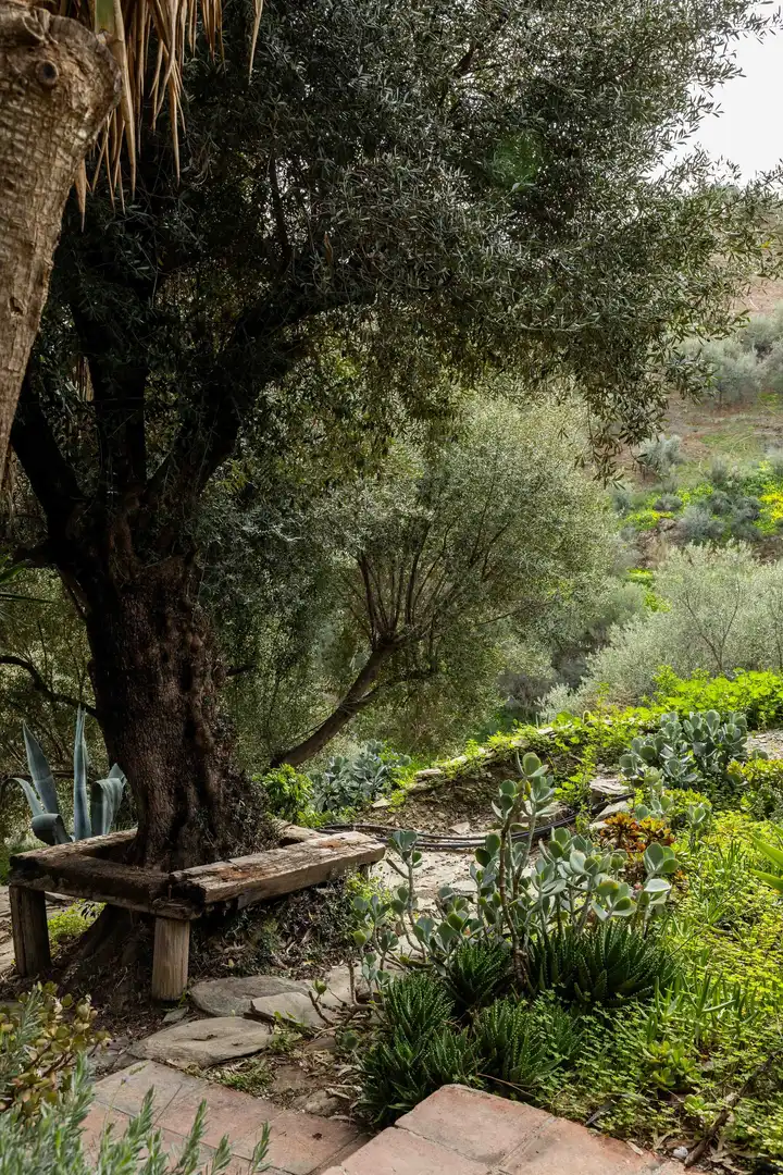 Jardín de Edificio en venta en Viñuela