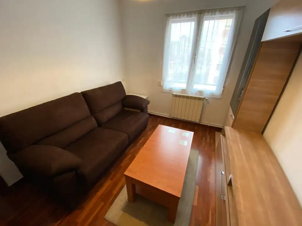 Sala d'estar de Pis de lloguer en Judimendi  