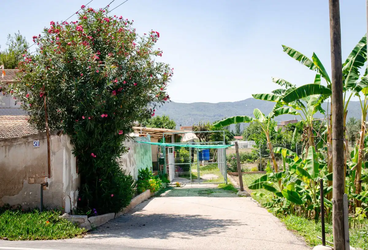Jardín de Residencial en venta en Murcia