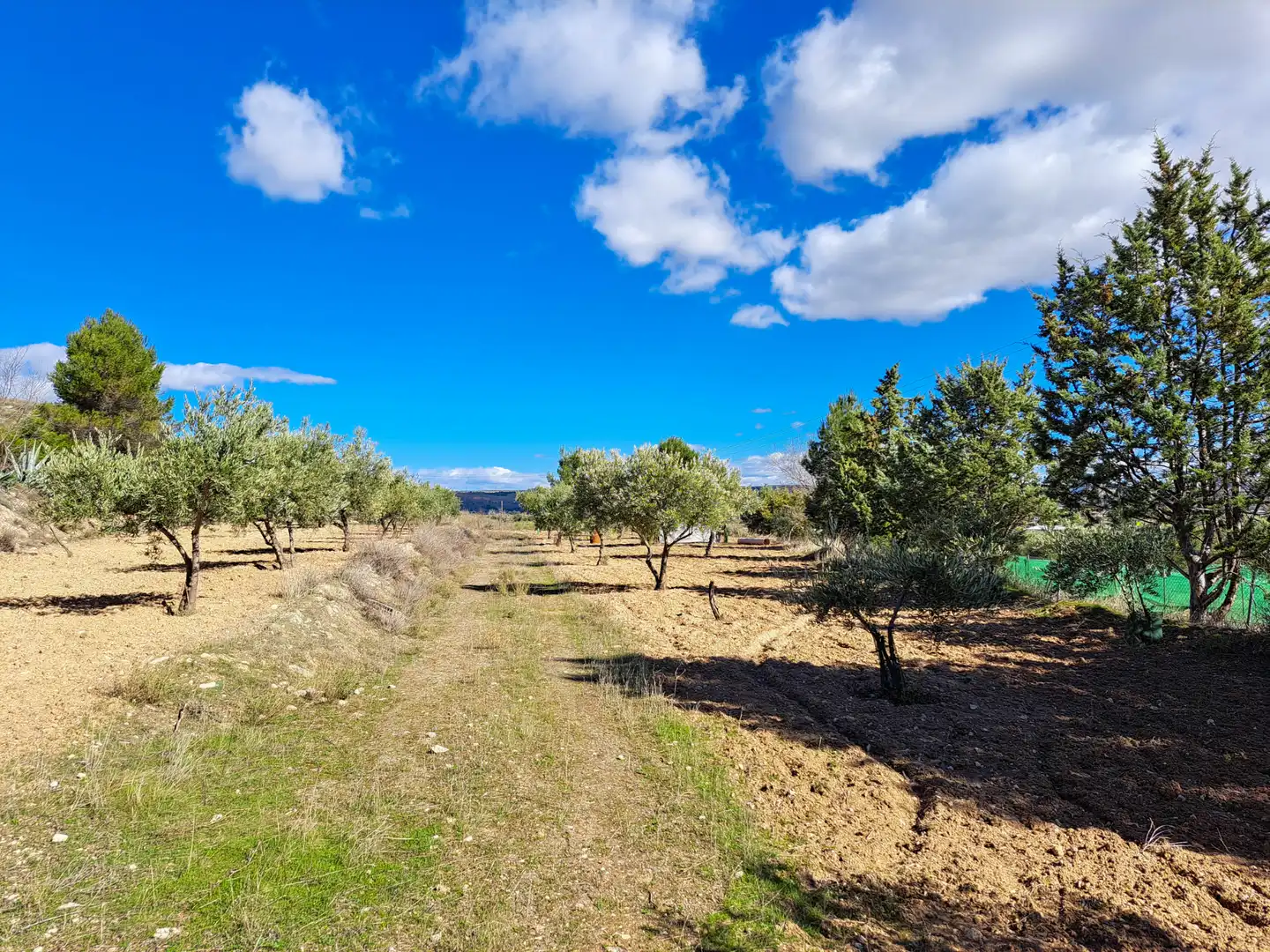 Casa o xalet en venda en Chinchón amb Calefacció, Jardí privat i Terrassa