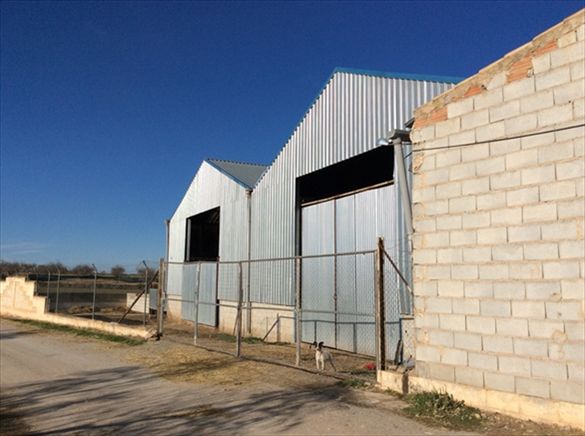 Außenansicht von Fabrikhallen zum verkauf in Cuevas del Campo