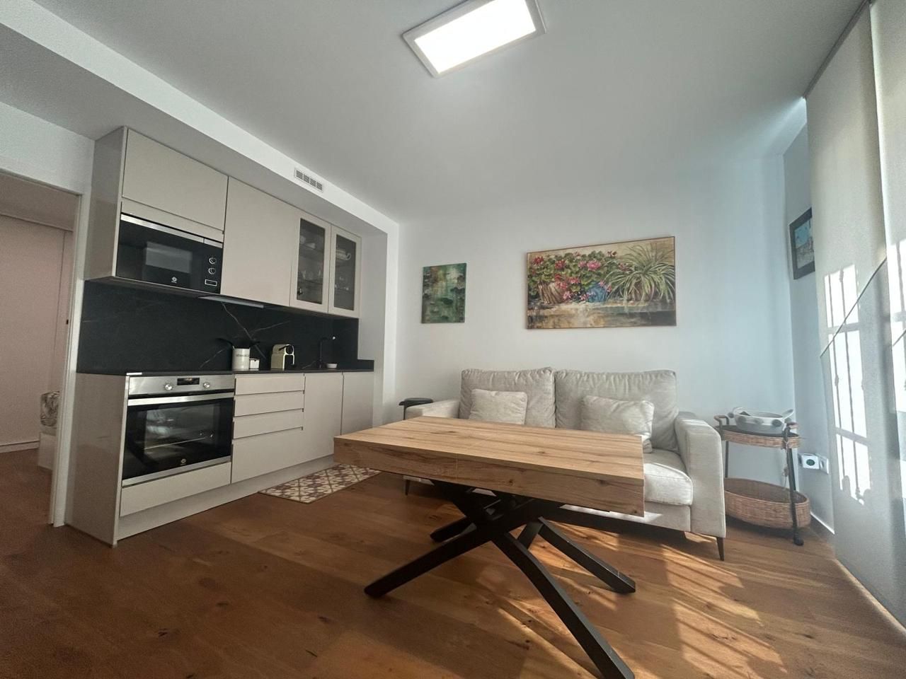 Sala d'estar de Estudi de lloguer en Dos Hermanas amb Aire condicionat i Calefacció