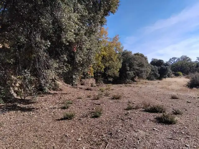 Country homes for sale in Pórtugos
