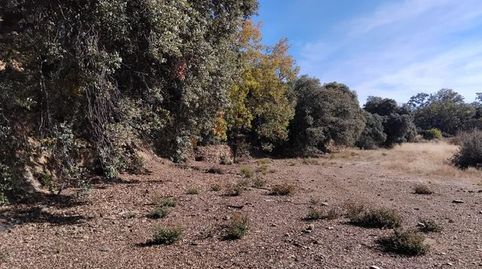 Foto 5 de Finca rústica en venda a Pórtugos, Granada