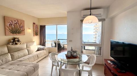 Foto 2 de Estudio de alquiler en Avenida Manuel Mena Palma, Cortijo Torrequebrada, Benalmádena