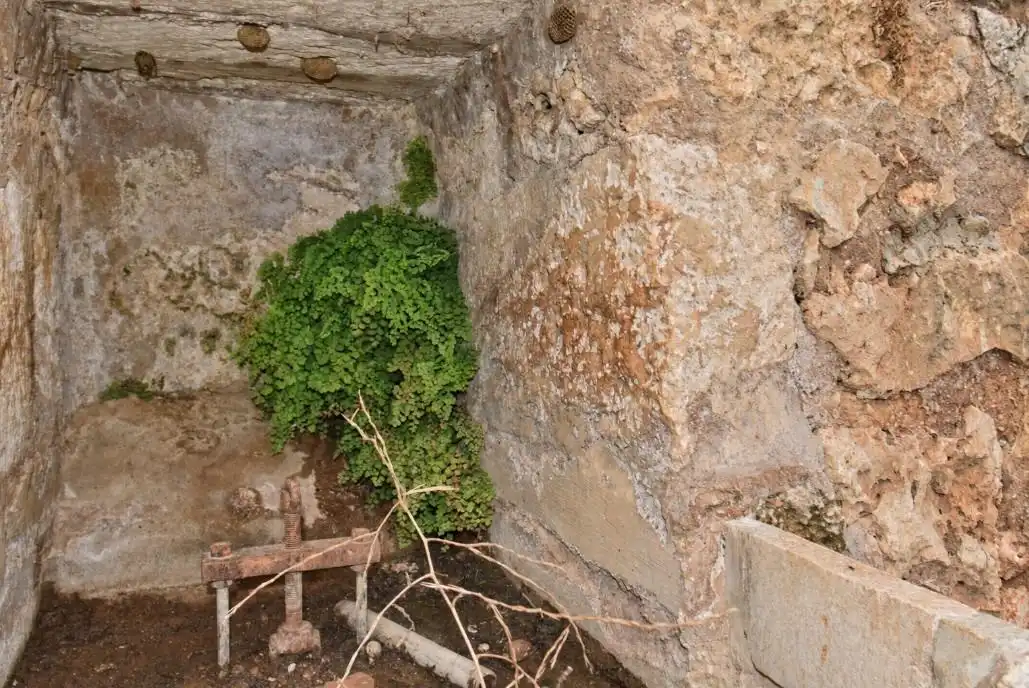 Casa rustica con giardino in vendita a Muro, imagen 15