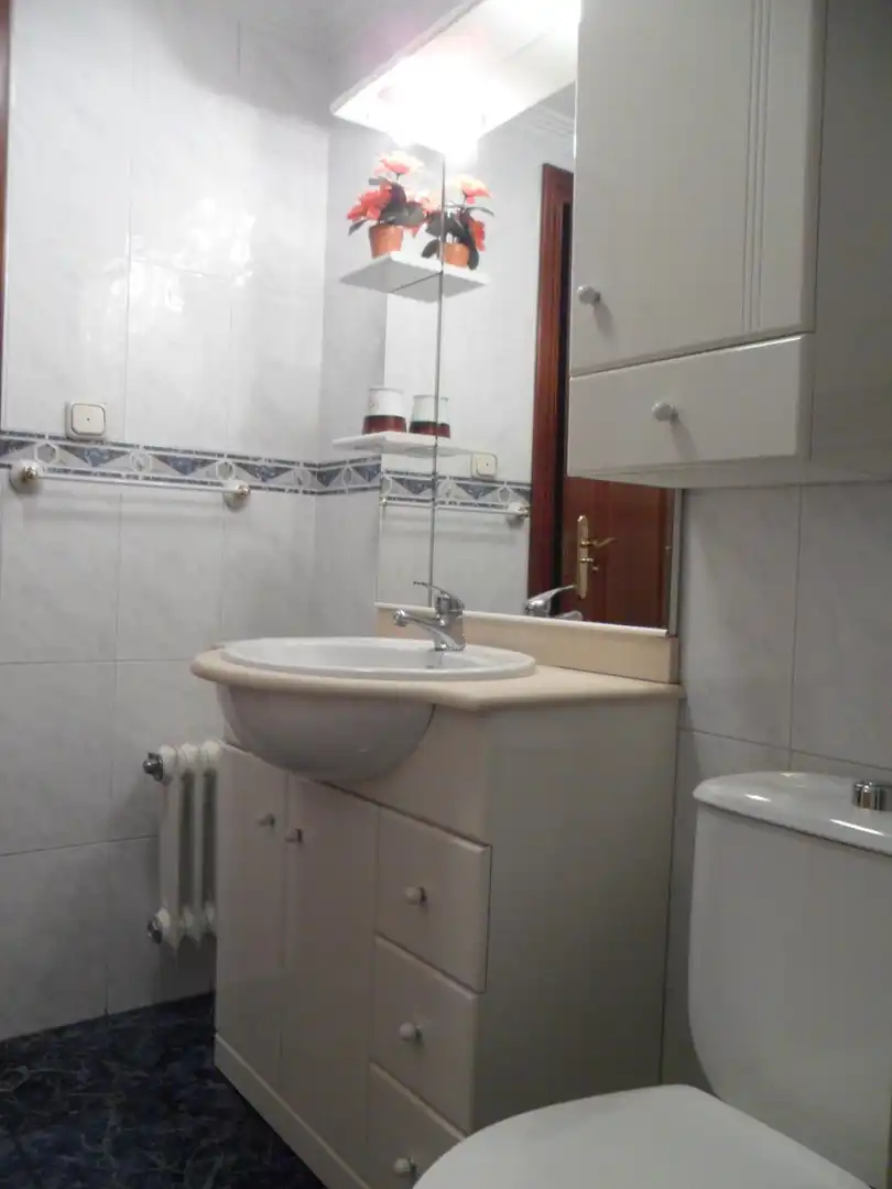 Baño de Piso de alquiler en Granada con Aire acondicionado, Calefacción y Terraza