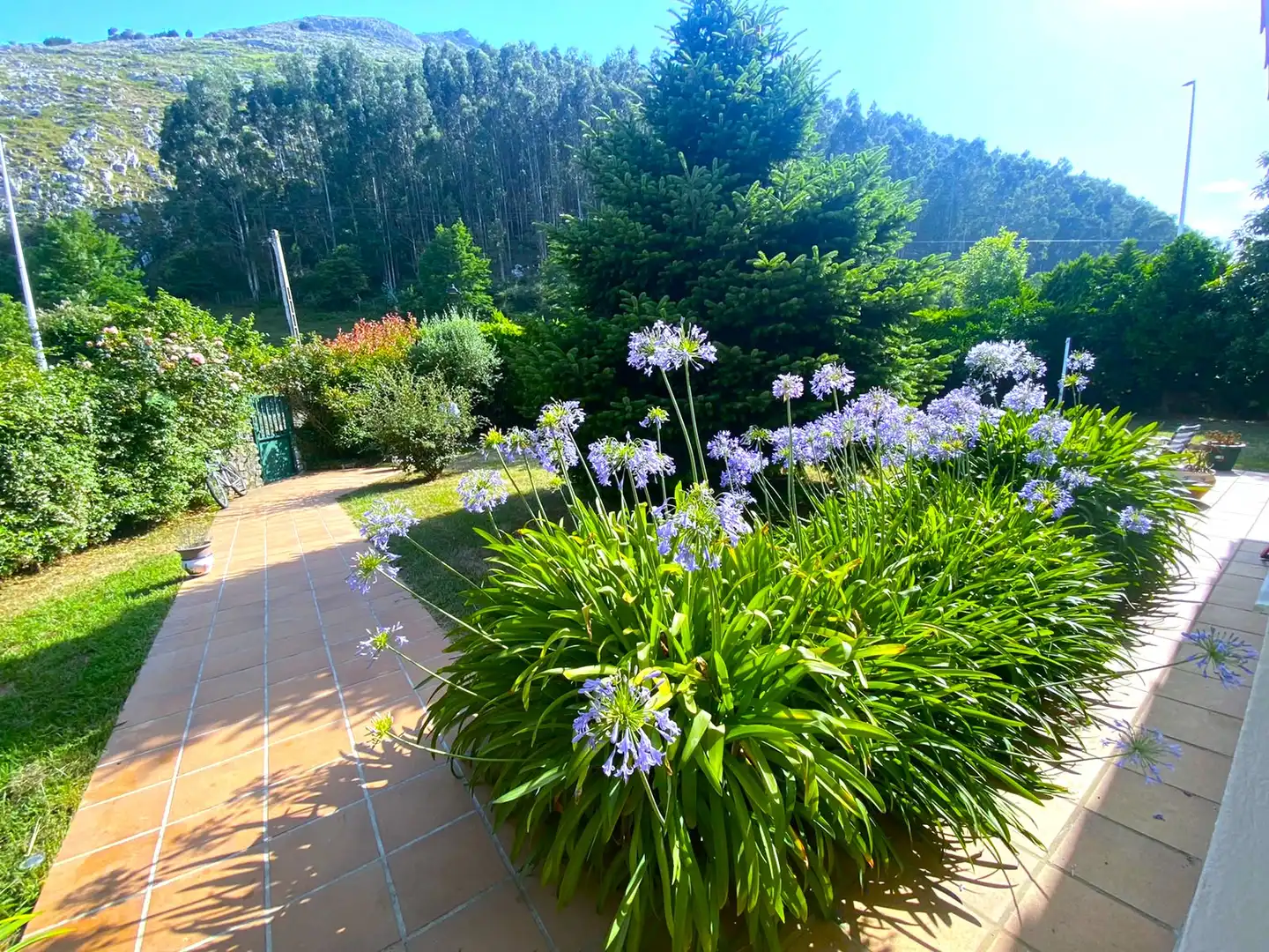 Garden of Houses for sale in Castro-Urdiales  with Heating, Private garden and Parquet flooring