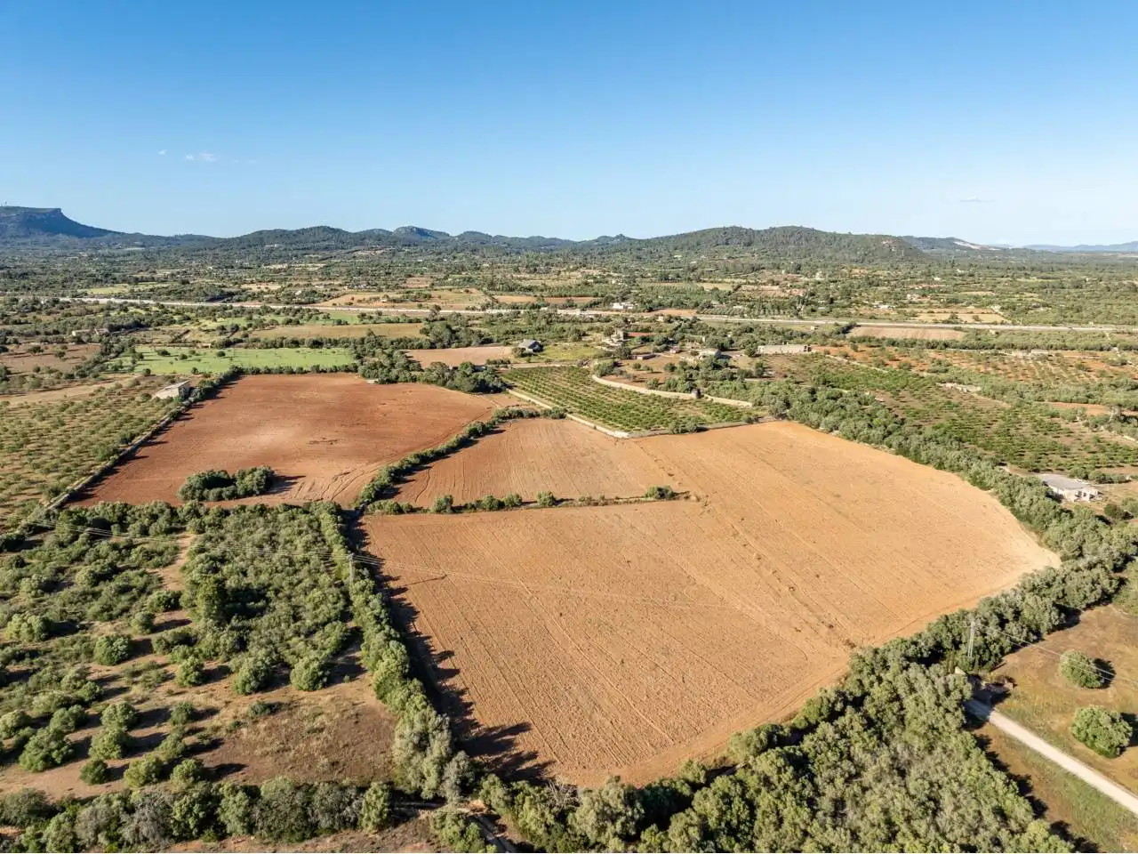 Terreno rustico in vendita a Llucmajor pueblo, imagen 117