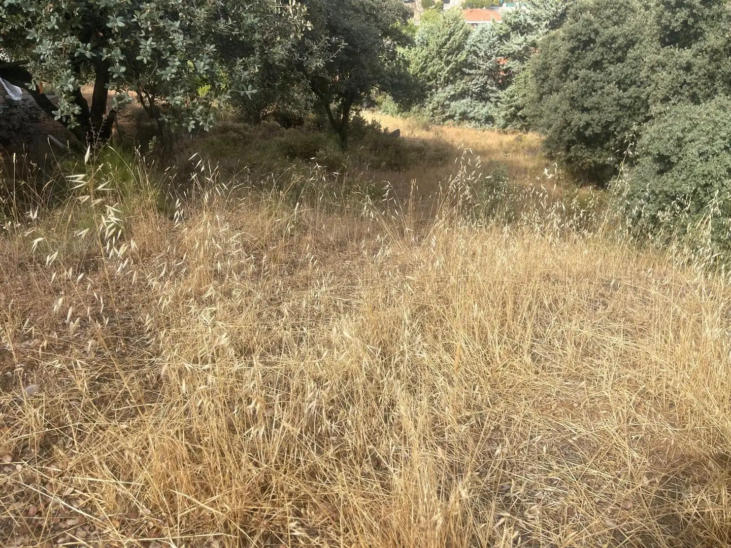 Terreno residenziale in vendita a El Casar, imagen 9