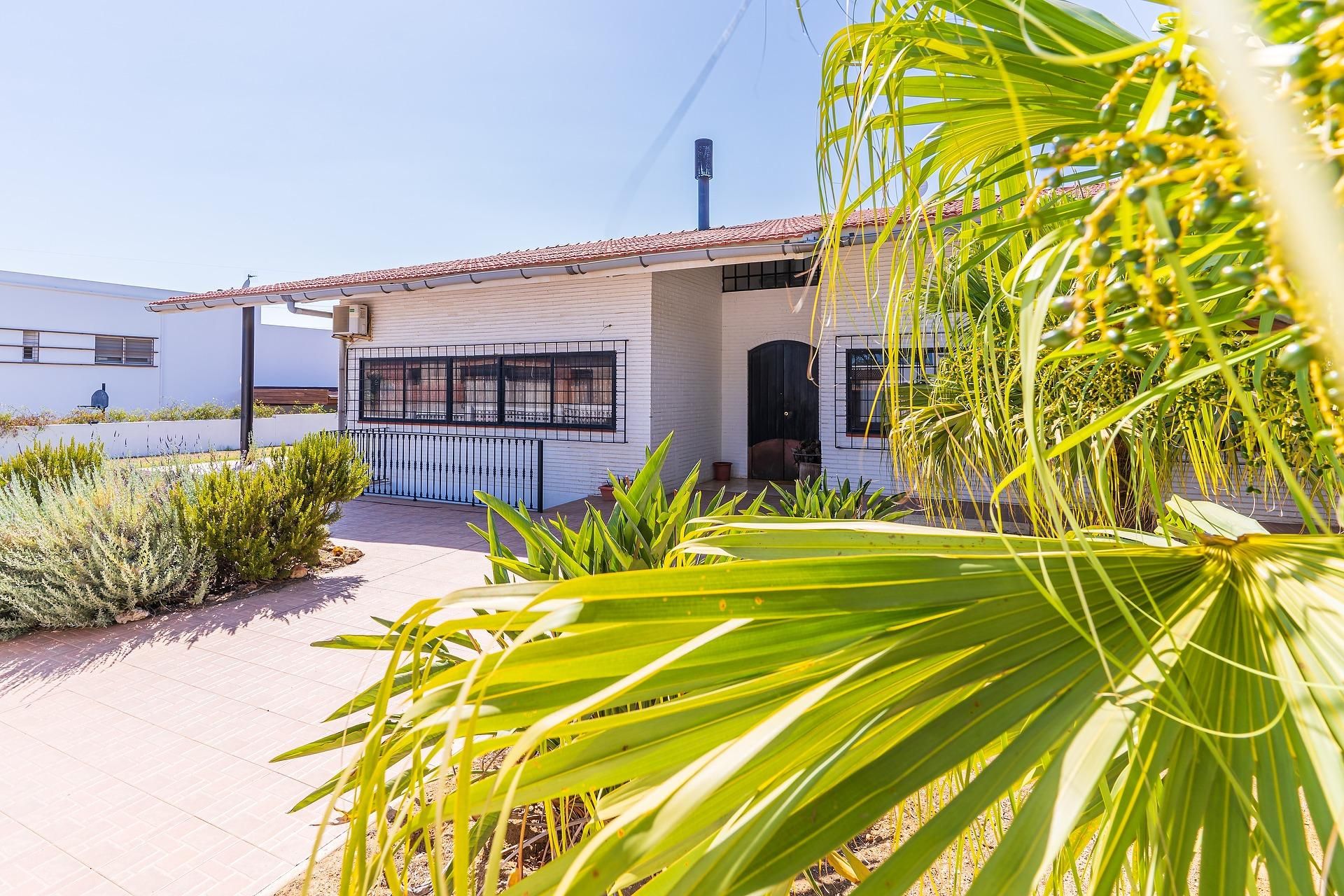 Vista exterior de Casa o xalet en venda en Palos de la Frontera amb Aire condicionat, Jardí privat i Terrassa