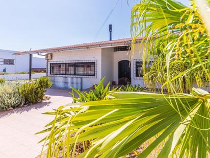 Vista exterior de Casa o xalet en venda en Palos de la Frontera amb Aire condicionat, Jardí privat i Terrassa