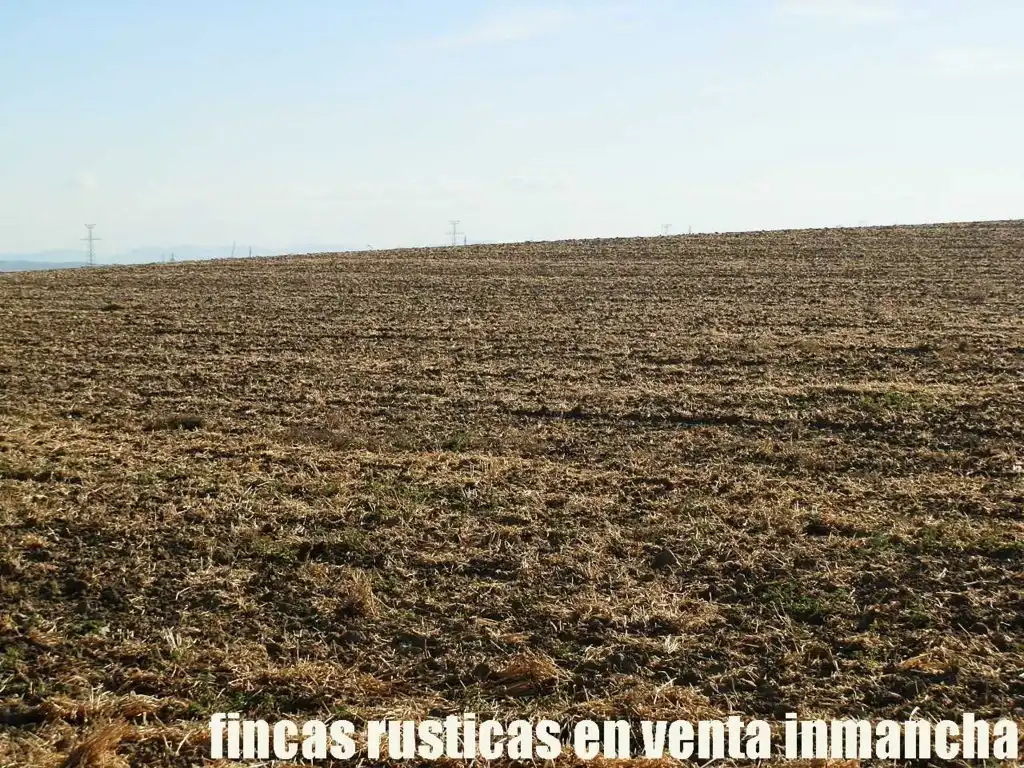 Terreni e lotti in vendita a Bargas, imagen 13