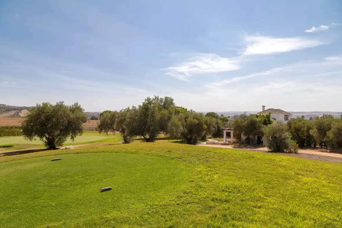 Chalet con piscina en venta en Arcos de la Frontera, imagen 64