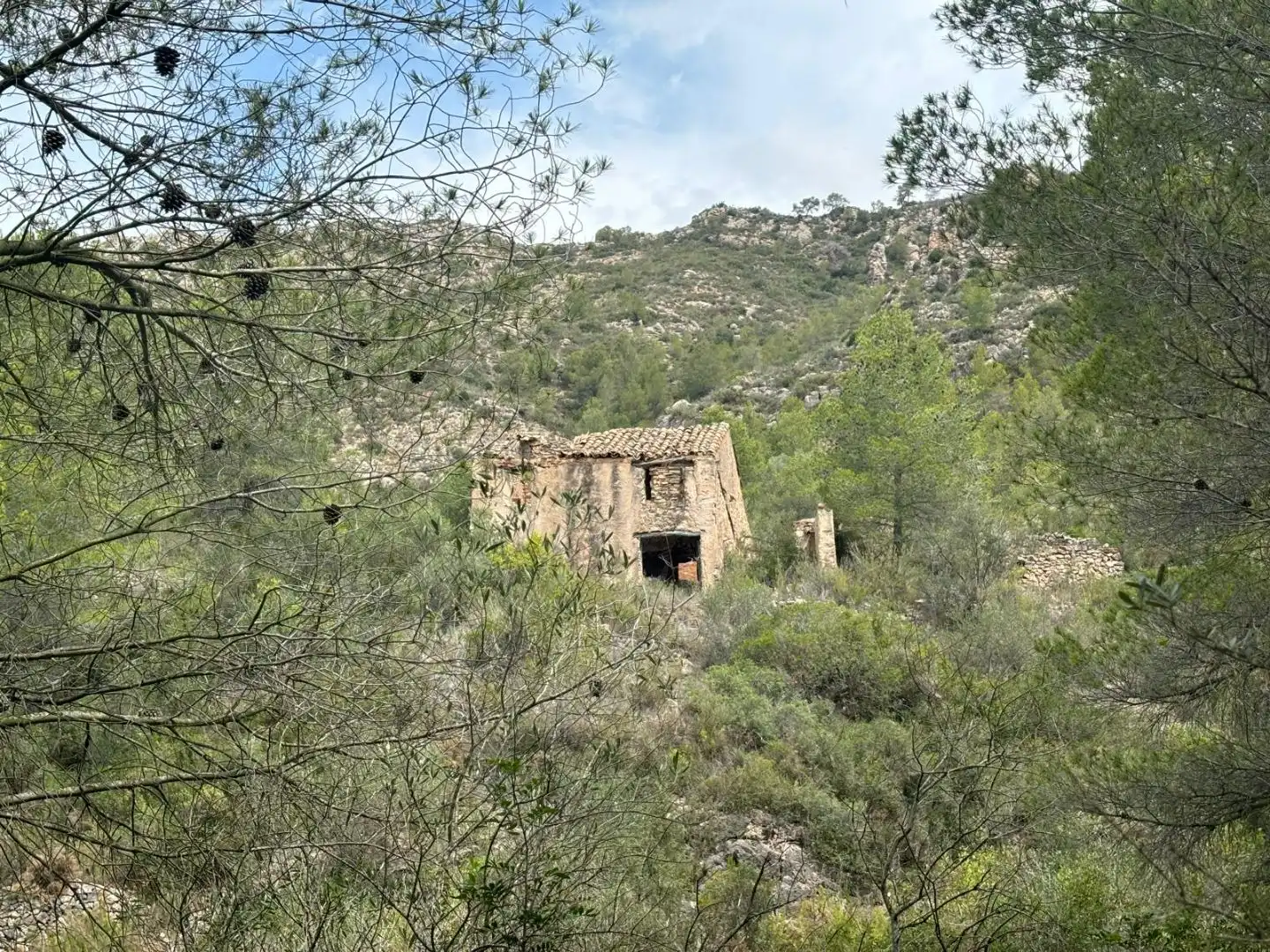 Vista exterior de Terreno en venta en Tivissa