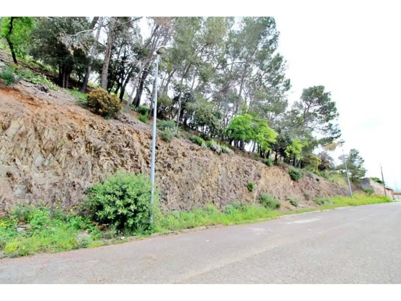 Rural land for sale in Calle Llosa, imagen 12