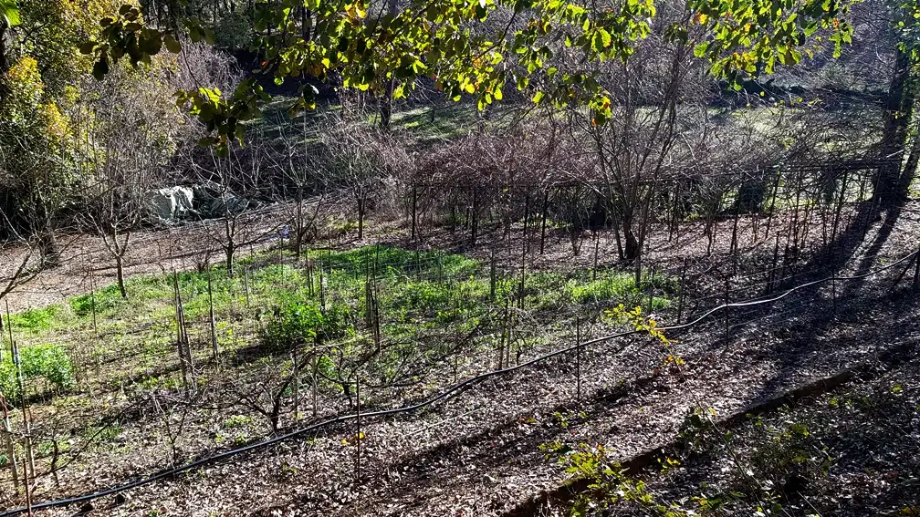 Finca rústica en venta en Galaroza con Calefacción, Jardín privado y Terraza