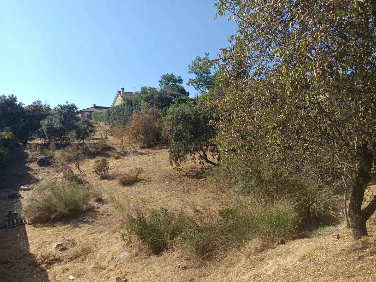 Terreny residencial en venda a Calle Puerto de Navacerrada, imagen 6