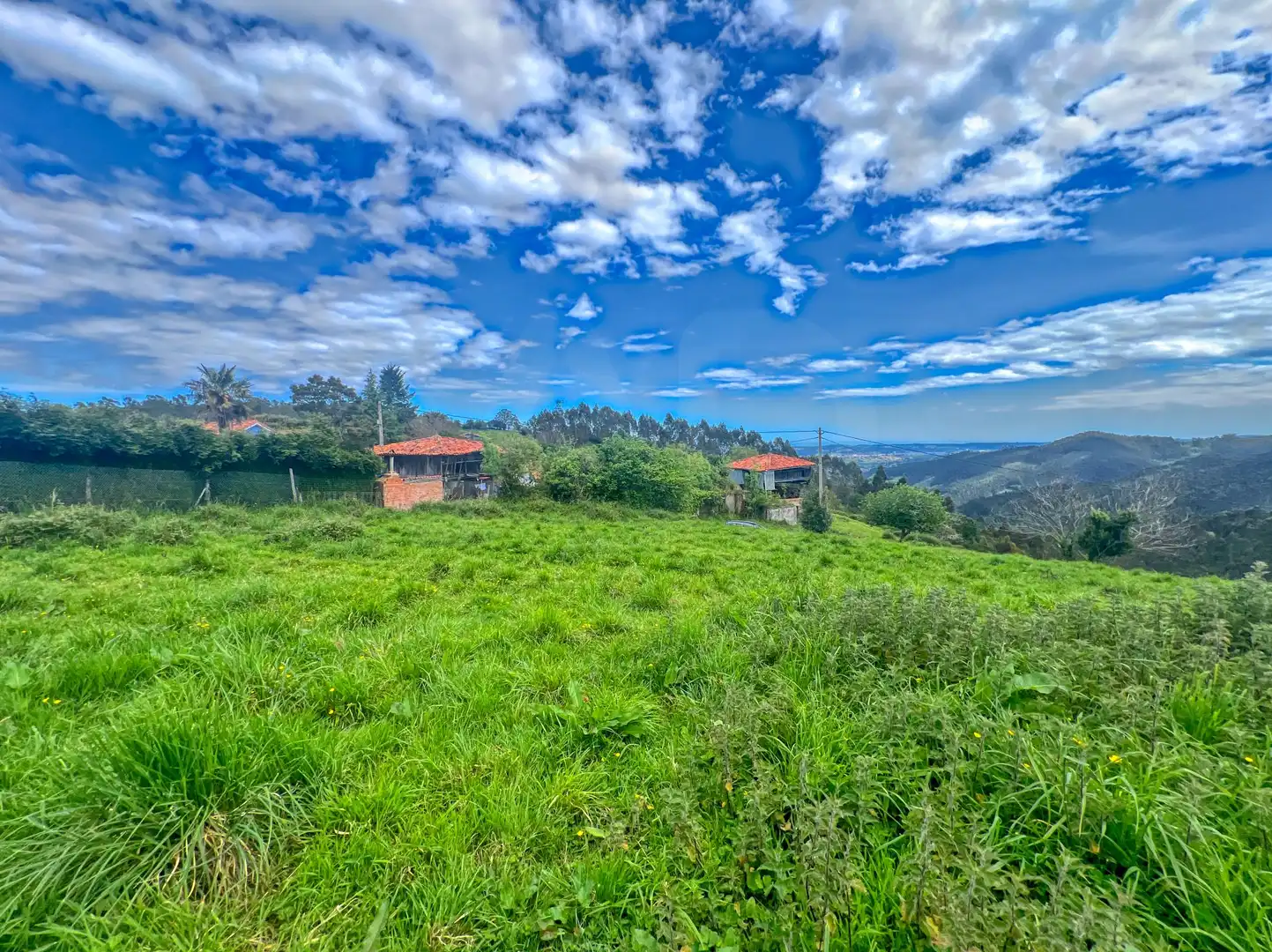 Lands and plots for sale in Pillarno, imagen 3