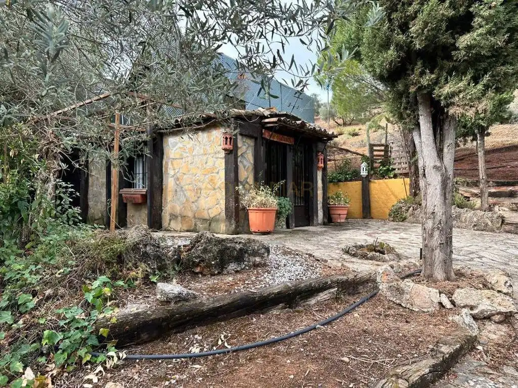 Casa rústica con piscina en venta en Archidona, imagen 12