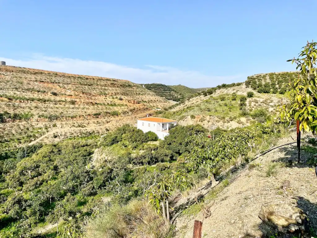 Casa rústica amb jardí en venda a Vélez-Málaga ciudad, imagen 34