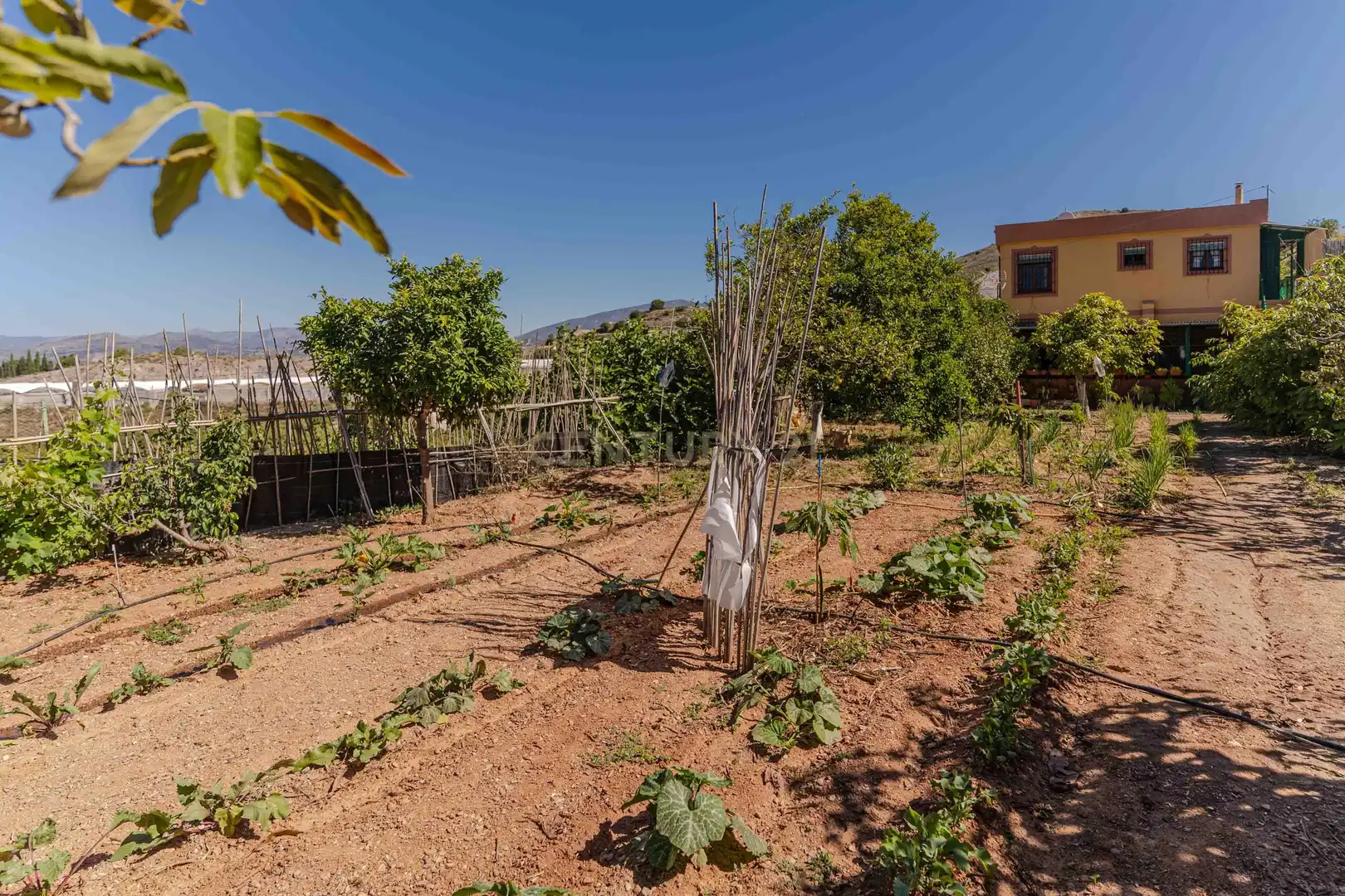 Jardín de Casa o chalet en venta en Motril