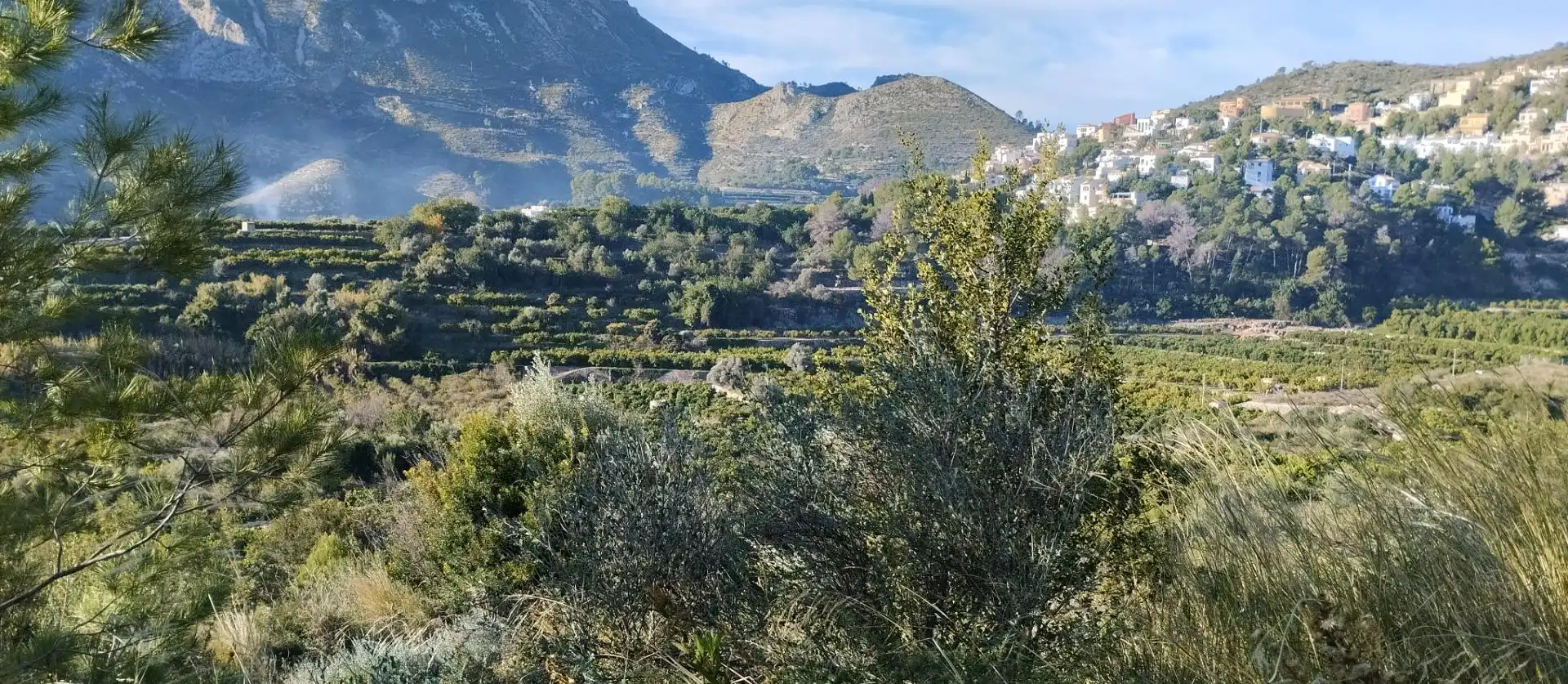 Terreny rústic en venda a L'Atzúbia