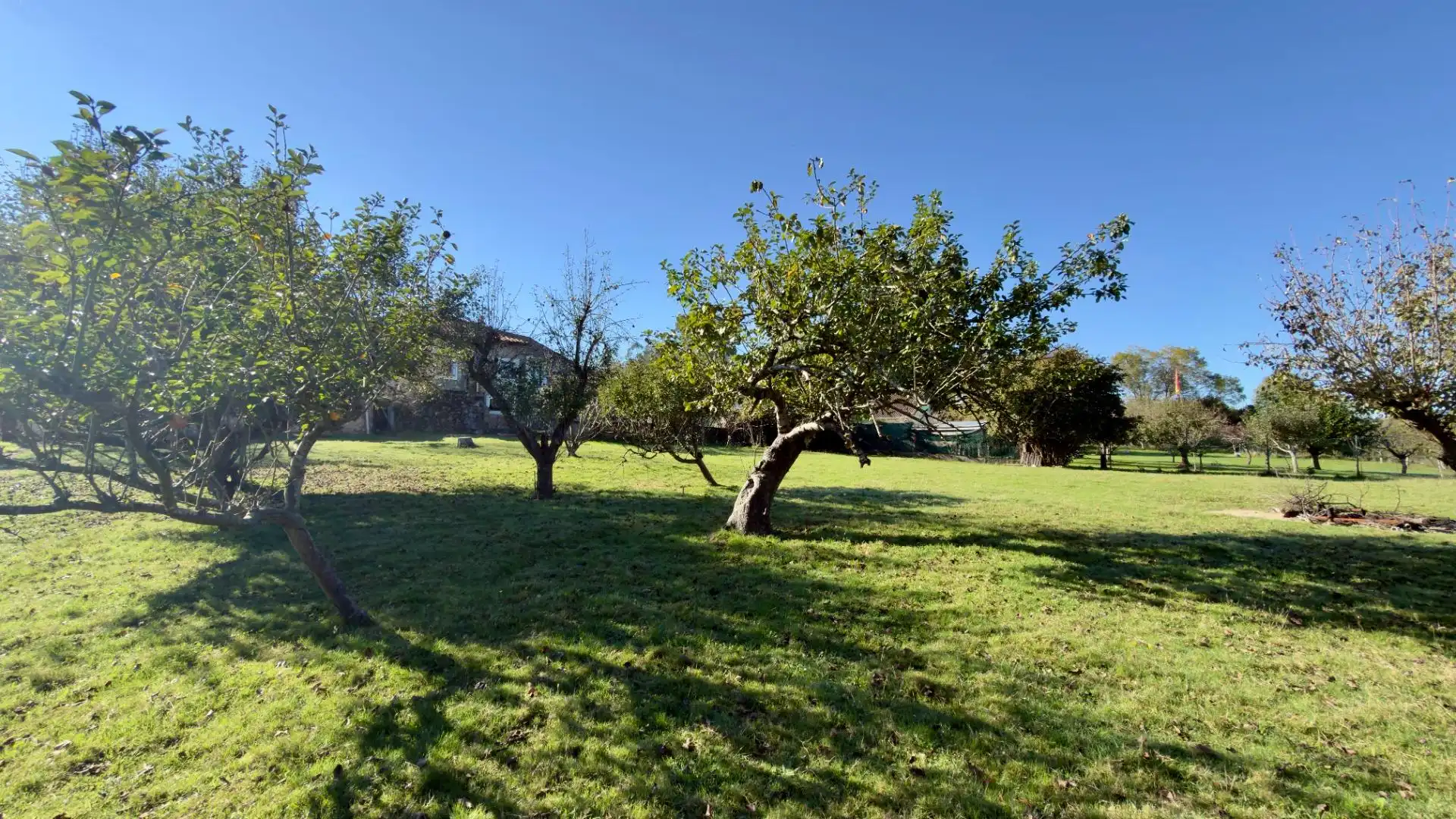 Casa o chalet en venta en Villaescusa (Cantabria)