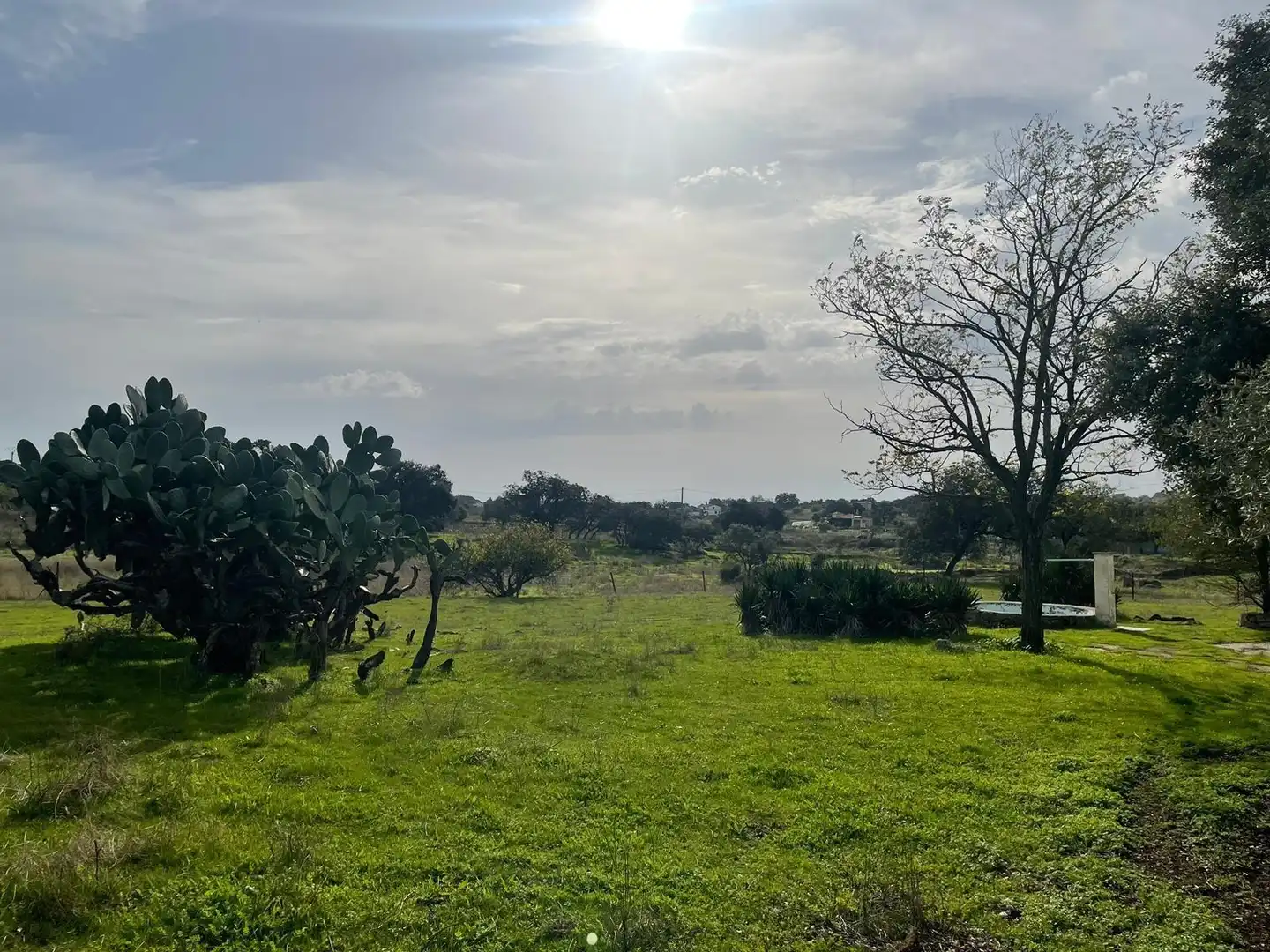 Maison à vendre à Arroyo de la Luz, imagen 32
